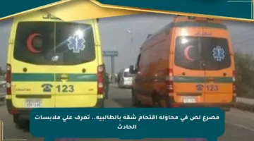 مصرع لص في محاولة اقتحام شقة بالطالبية.. تعرف على ملابسات الحادث